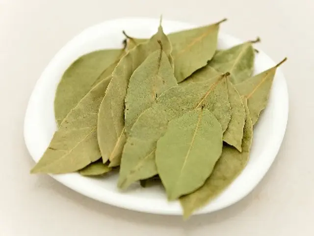 Hojas de betel
