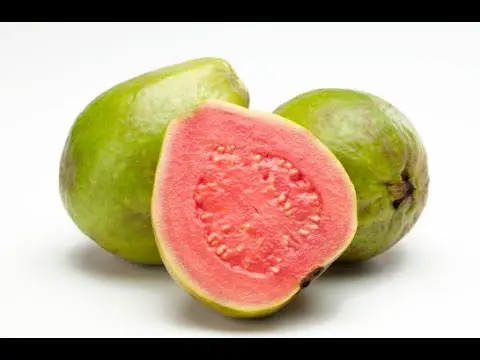 guayaba