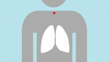 Cómo purificar tus pulmones de forma natural.   Sr. fumador, tome nota