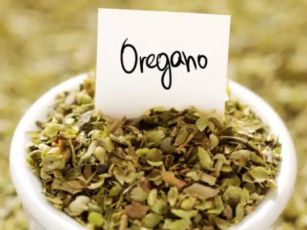 de 13 formas de purificar sus pulmones de forma natural. Fumadores por favor tomen nota 13 formas de purificar tus pulmones de forma natural. Fumadores, tomen nota