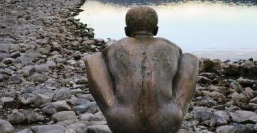 jugos para desintoxicar el organismo